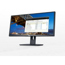 DELL U2913WM 29 INC LED Monitör